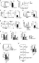 CD122 Antibody in Flow Cytometry (Flow)