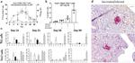 IL-17A Antibody in Flow Cytometry (Flow)