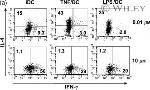 IL-4 Antibody in Flow Cytometry (Flow)