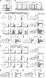 CD279 (PD-1) Antibody in Flow Cytometry (Flow)