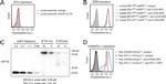 CD28 Antibody in Flow Cytometry (Flow)