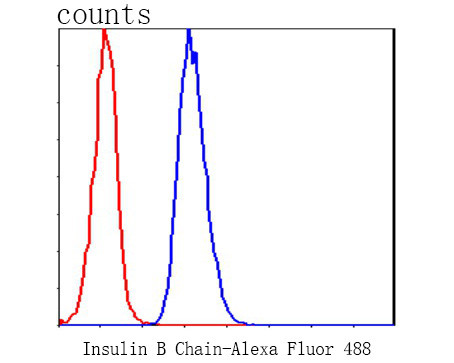 Insulin B Chain Antibody in Flow Cytometry (Flow)