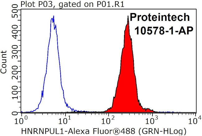 HNRNPUL1 Antibody in Flow Cytometry (Flow)