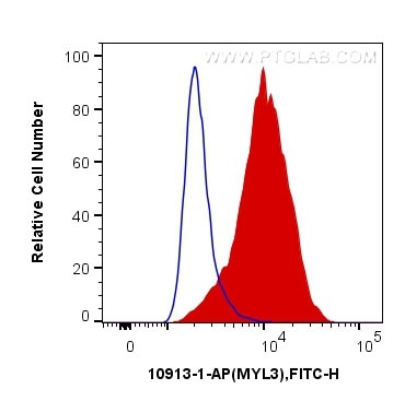 MYL3 Antibody in Flow Cytometry (Flow)