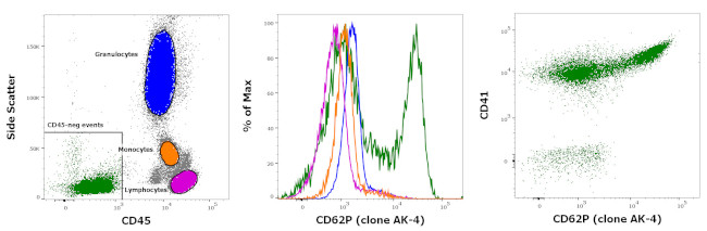 CD62P (P-Selectin) Antibody