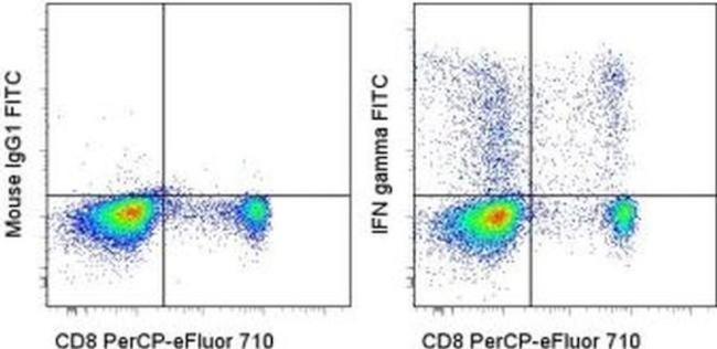 IFN gamma Antibody in Flow Cytometry (Flow)