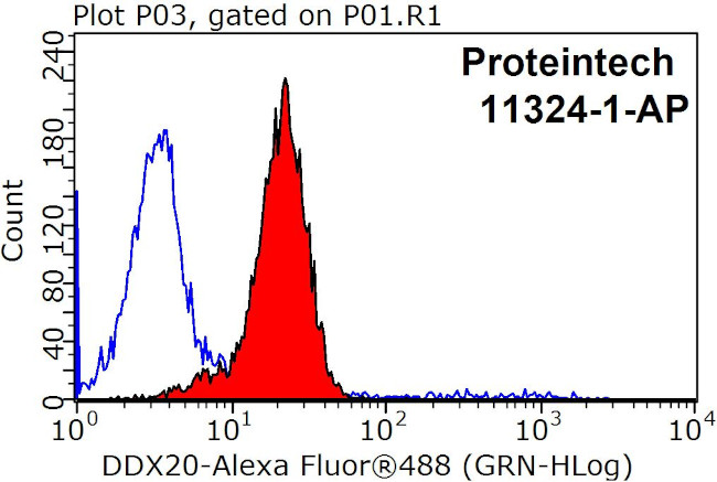 DDX20 Antibody in Flow Cytometry (Flow)