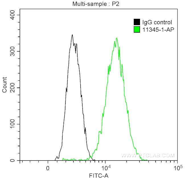 NSD3 Antibody in Flow Cytometry (Flow)