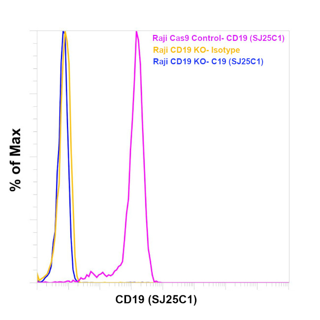 CD19 Antibody in Flow Cytometry (Flow)