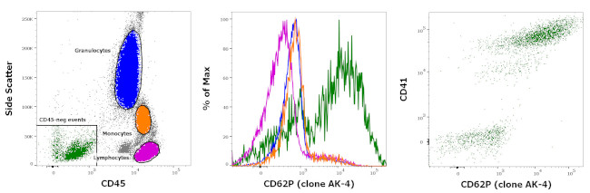 CD62P (P-Selectin) Antibody