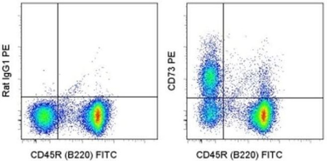 CD73 Monoclonal Antibody (eBioTY/11.8 (TY/11.8)), PE (12-0731-82)