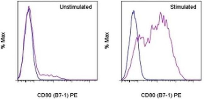 CD80 (B7-1) Antibody in Flow Cytometry (Flow)