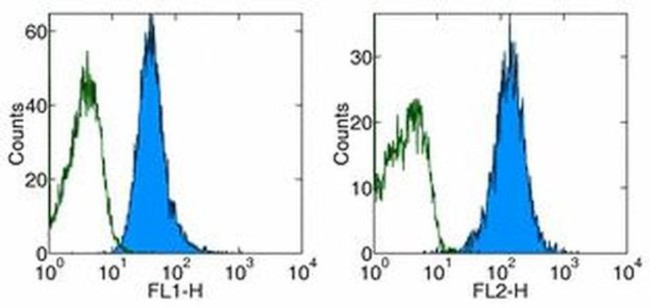 CD98 Antibody in Flow Cytometry (Flow)