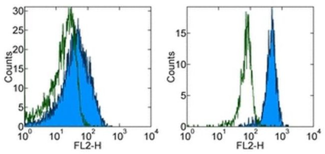 CD119 (IFN gamma Receptor 1) Antibody in Flow Cytometry (Flow)