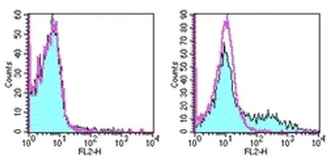 CD153 Antibody in Flow Cytometry (Flow)