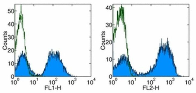 MHC Class II (I-Ek) Antibody in Flow Cytometry (Flow)