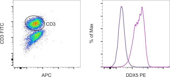 DDX5 Antibody in Flow Cytometry (Flow)