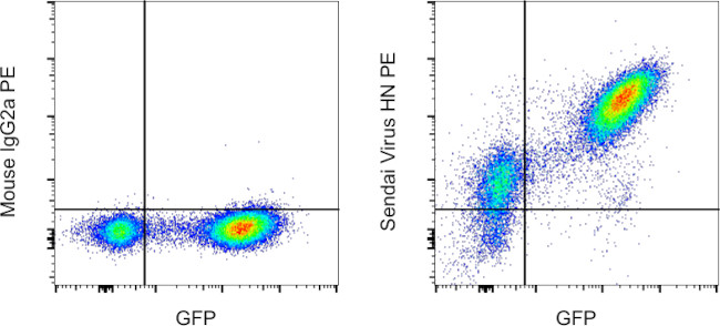 Sendai virus HN Monoclonal Antibody (1A6), PE (12-6494-82)