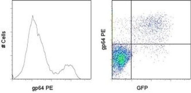 Baculovirus Envelope gp64 Antibody in Flow Cytometry (Flow)