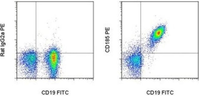 CD185 (CXCR5) Antibody in Flow Cytometry (Flow)