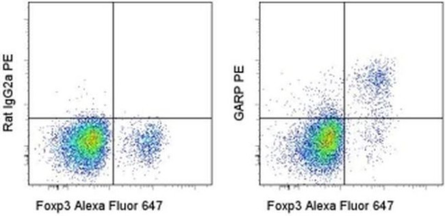 GARP Antibody in Flow Cytometry (Flow)