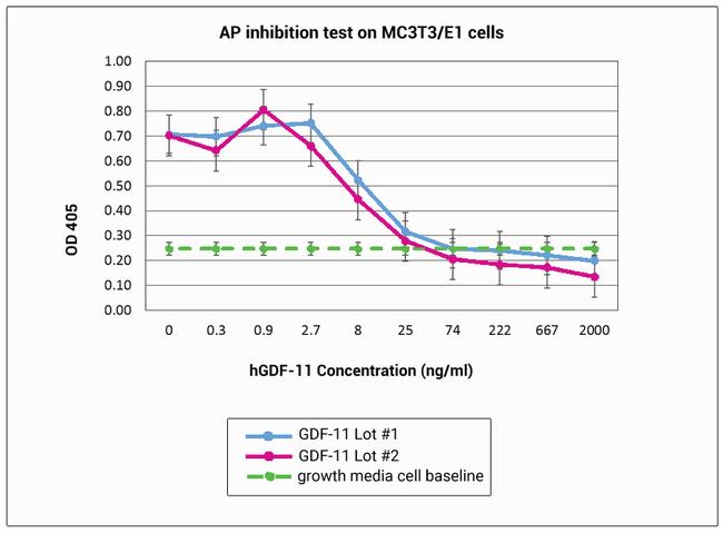 Human/Mouse/Rat GDF-11 Protein in Functional Assay (FN)