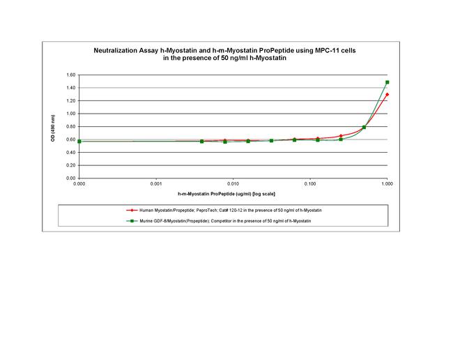 Human Myostatin Propeptide Protein in Functional Assay (FN)