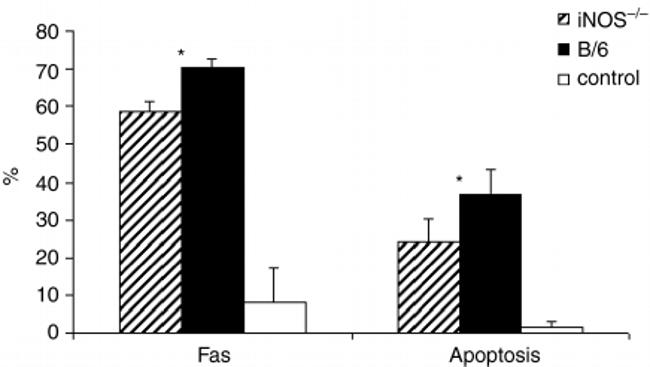 CD95 (APO-1/Fas) Antibody in Flow Cytometry (Flow)