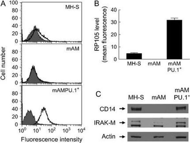 CD180 (RP105) Antibody in Flow Cytometry (Flow)