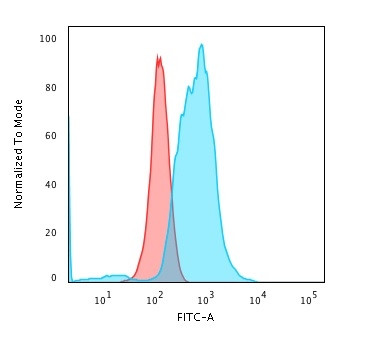 Calponin-1 Antibody in Flow Cytometry (Flow)