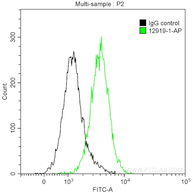 PKC beta Antibody in Flow Cytometry (Flow)