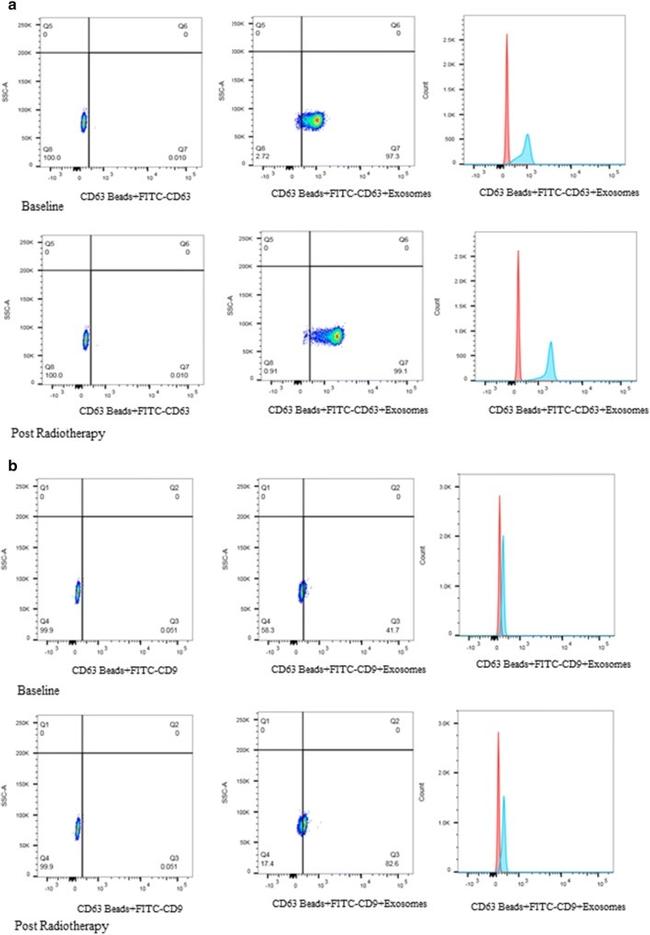 CD63 Antibody in Flow Cytometry (Flow)