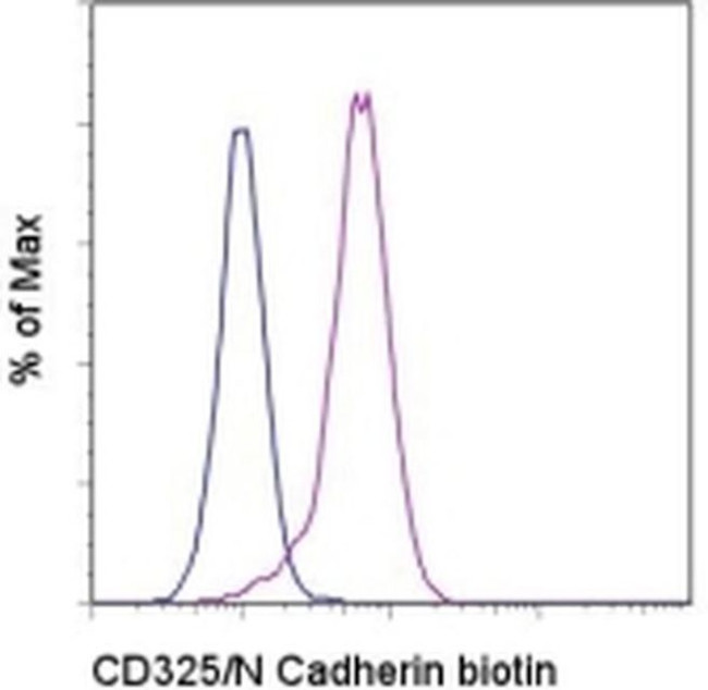 CD325 (N-Cadherin) Antibody in Flow Cytometry (Flow)