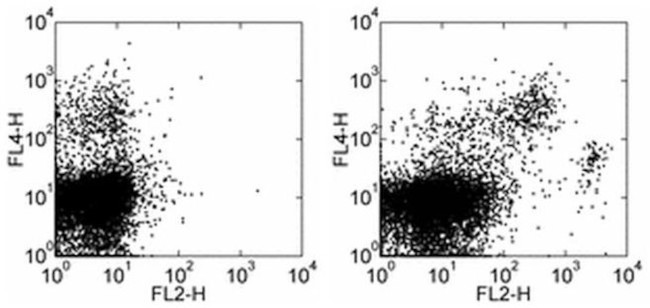 F4/80 Monoclonal Antibody (BM8), Biotin (13-4801-82)