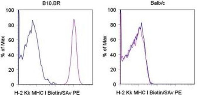 MHC Class I (H-2Kk) Antibody in Flow Cytometry (Flow)