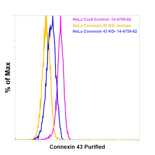 Connexin 43 Antibody in Flow Cytometry (Flow)