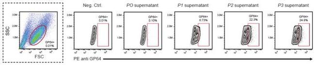 Baculovirus Envelope gp64 Antibody in Flow Cytometry (Flow)