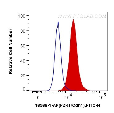 FZR1 Antibody in Flow Cytometry (Flow)