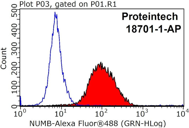 NUMB Antibody in Flow Cytometry (Flow)