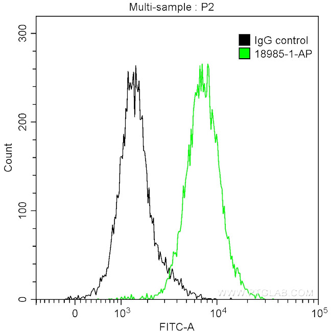 iNOS Antibody in Flow Cytometry (Flow)