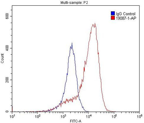 BMPR2 Antibody in Flow Cytometry (Flow)