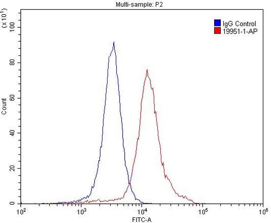 GPR22 Antibody in Flow Cytometry (Flow)