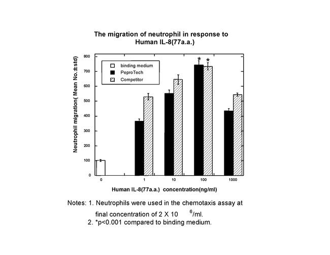 Human IL-8 (CXCL8) (77 aa) Protein in Functional Assay (FN)