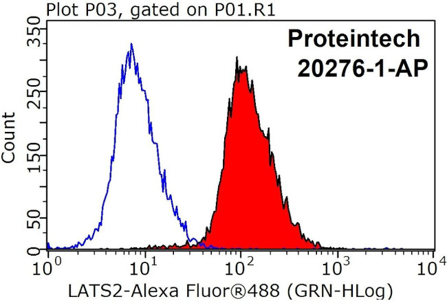 LATS2 Antibody in Flow Cytometry (Flow)