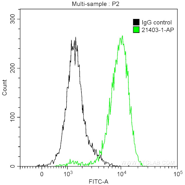 MYH10 Antibody in Flow Cytometry (Flow)