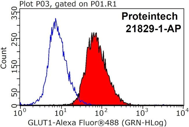 GLUT1 Antibody in Flow Cytometry (Flow)