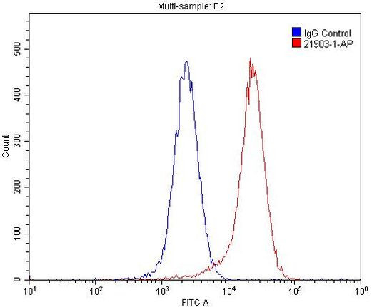 PVRL4 Antibody in Flow Cytometry (Flow)