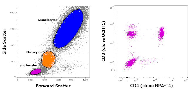 CD3/CD4 Antibody in Flow Cytometry (Flow)