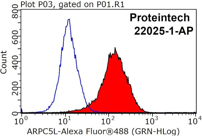 ARPC5L Antibody in Flow Cytometry (Flow)