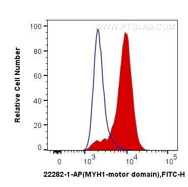 MYH1-internal Antibody in Flow Cytometry (Flow)